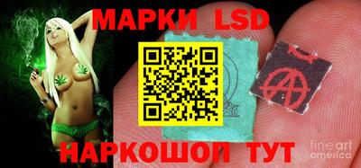 ПСИЛОЦИБИНОВЫЕ ГРИБЫ Камышлов