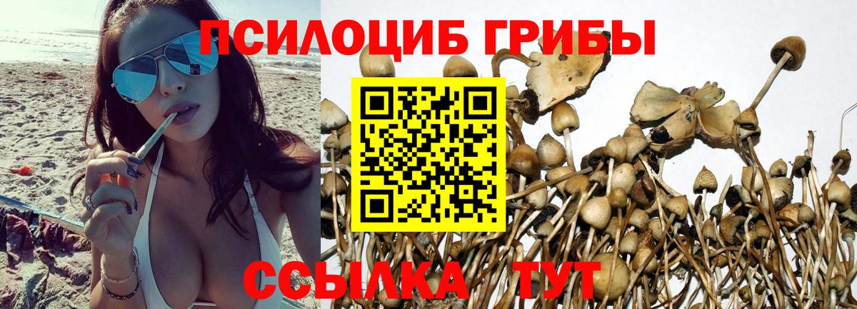 Псилоцибиновые грибы ЛСД  Вход с VPN  купить наркотик  Котлас 