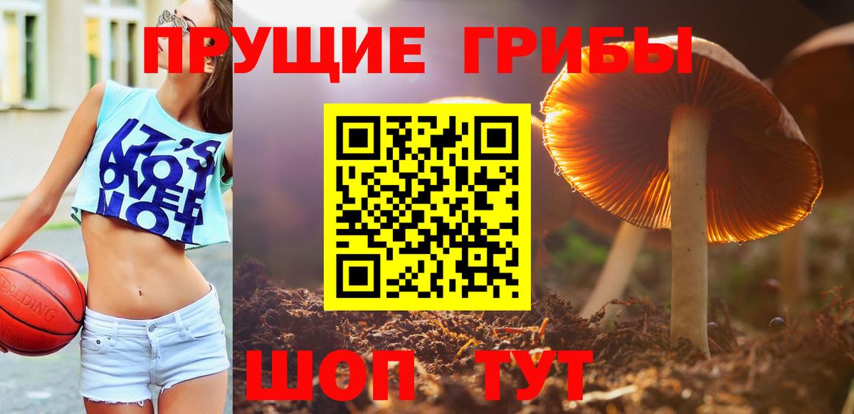 Галлюциногенные грибы MAGIC MUSHROOMS Котлас
